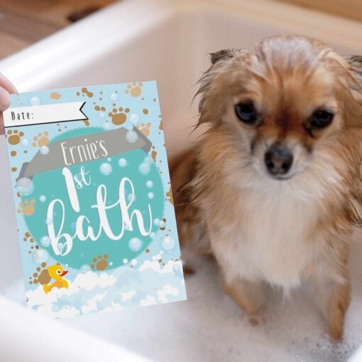 (product) Personalised Puppy Cards: For Milestone Moments