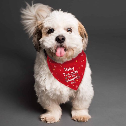 (product) Personalised 'Too cute for the naughty list' Dog Bandana