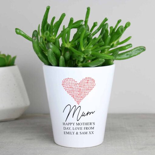 (product) Personalised Heart Plant Pot