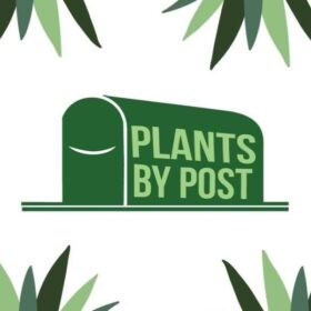 Plants By Post logo