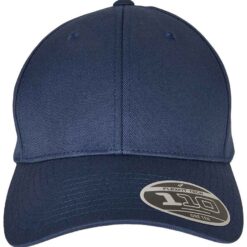 Flexfit 110 Curved Visor Snapback Cap