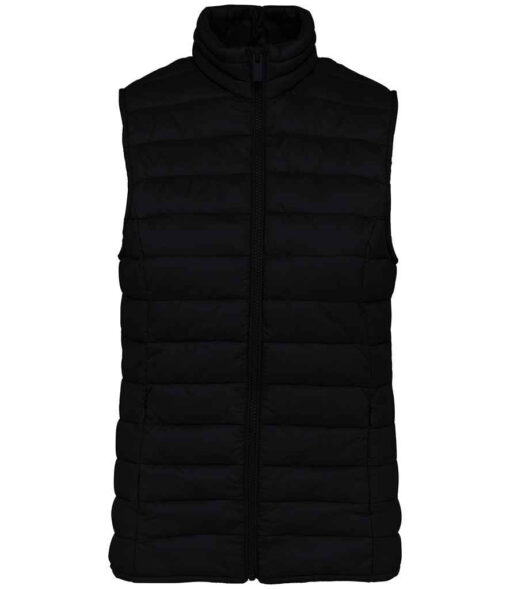 Native Spirit Ladies Light Recycled Bodywarmer