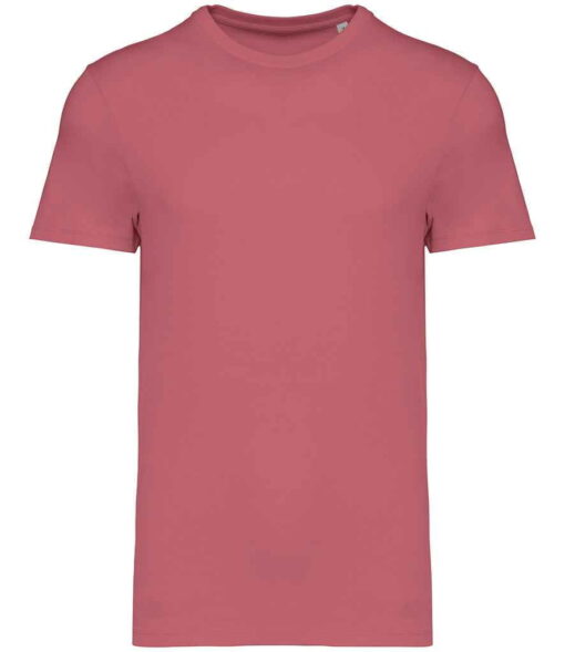 Native Spirit Unisex Heavyweight T-Shirt - Antique Rose, 5XL