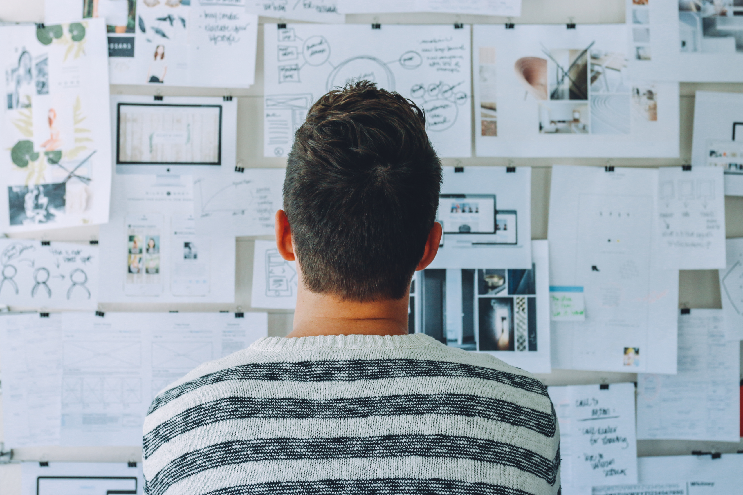 Person looking at various plans on a wall to guide them through a process