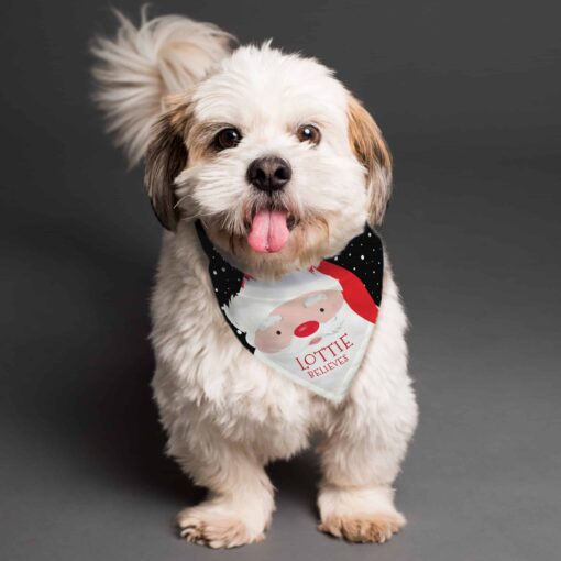 Personalised Santa Dog Bandana