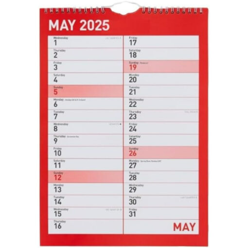 2025 Monthly Engagement Wall Calendar Planner Matte Finish