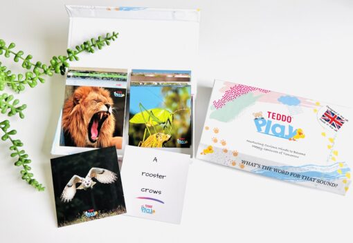 Teddo Play - What's the Word for That Sound Learning Cards  Set
