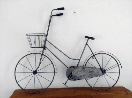 Ladies Bike 1