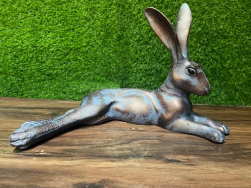 Laying Hare 1