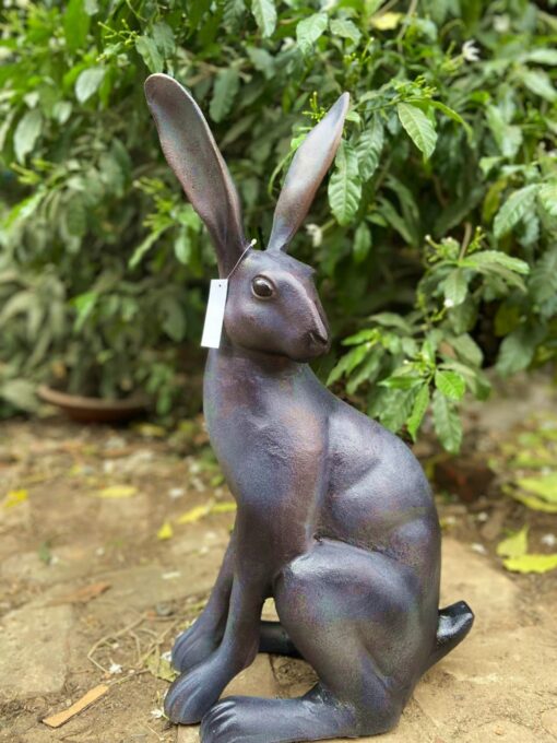 Sitting Hare 1