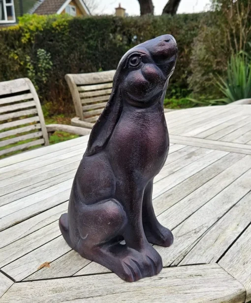 Stargazing Hare 1