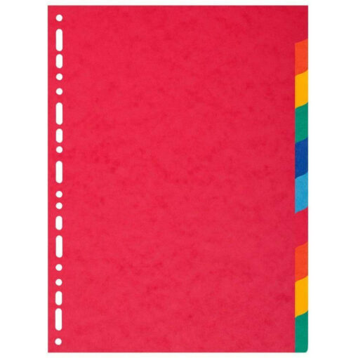 Exacompta Forever Multi-Coloured A4 Extra Wide 10 Part Dividers