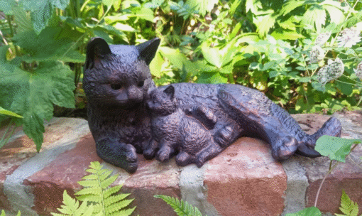 Cat and Kitten 1