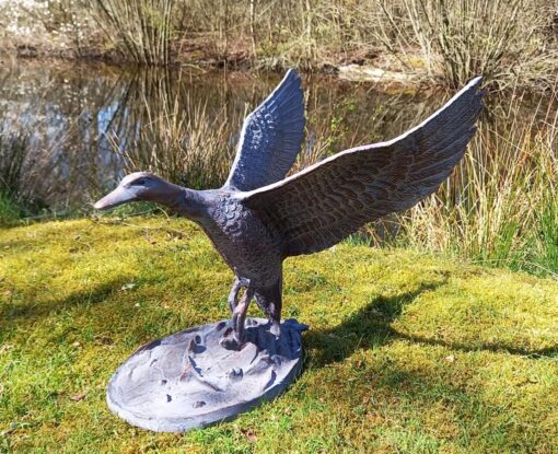 Flying Duck 1