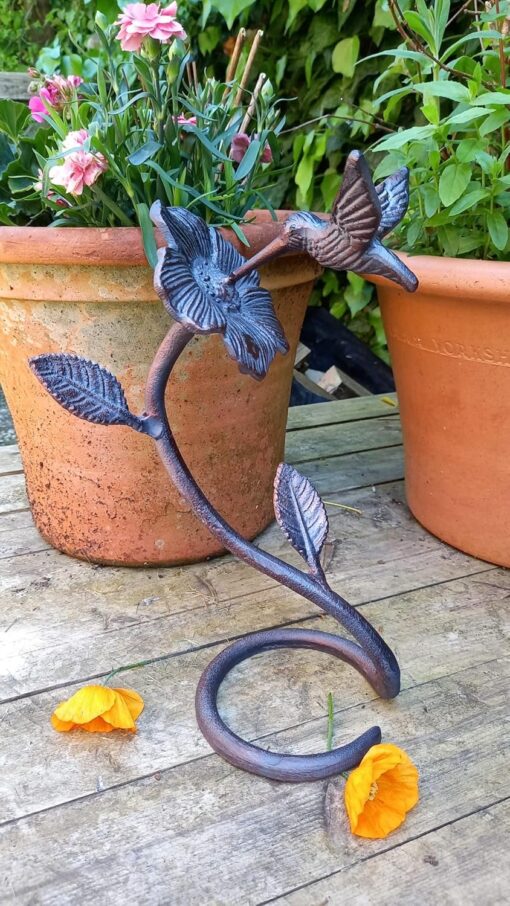 Hummingbird 1