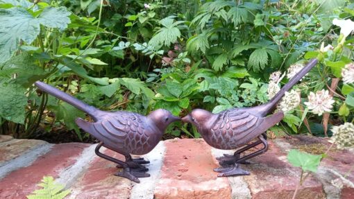 Pair of Birds 1