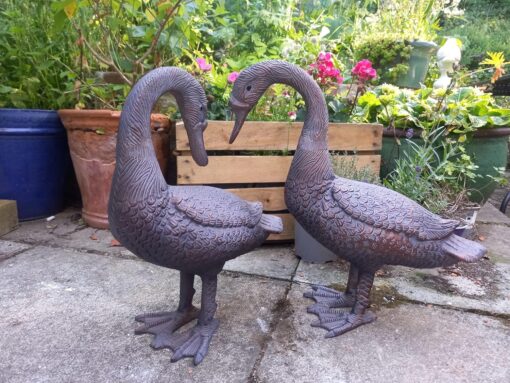 Pair of Geese 1