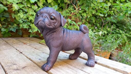 Pug 1